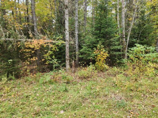 LOT #82 SEBOEIS ROAD, SEBOEIS PLT, ME 04448, photo 2 of 9