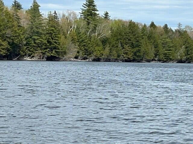 LOT #48 BOAT ACCESS ONLY STREET, SEBEC, ME 04426, photo 1 of 2