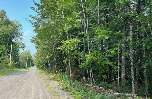 L90 SANDS ROAD ROAD, SEBEC, ME 04481 - Image 1