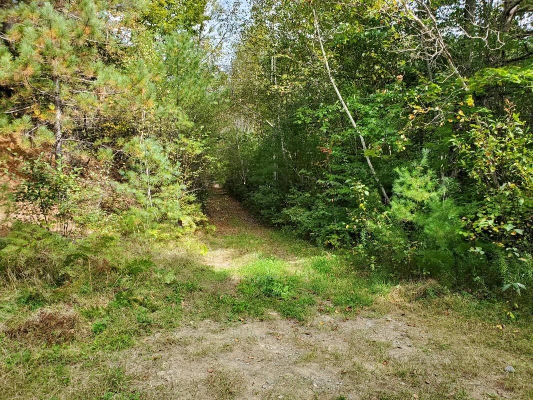 LOT 001-A OLD RAILROAD BED ROAD, MEDFORD, ME 04463, photo 1 of 6