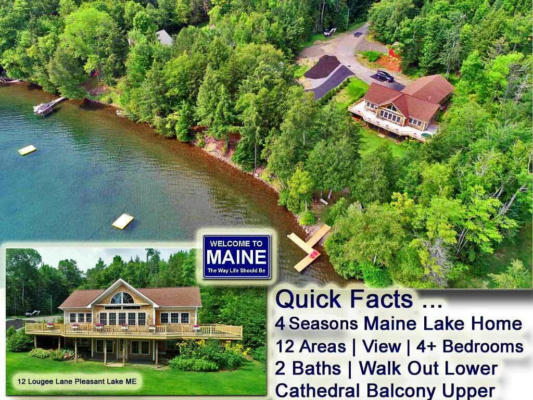 12 LOUGEE LN, ISLAND FALLS, ME 04747 - Image 1