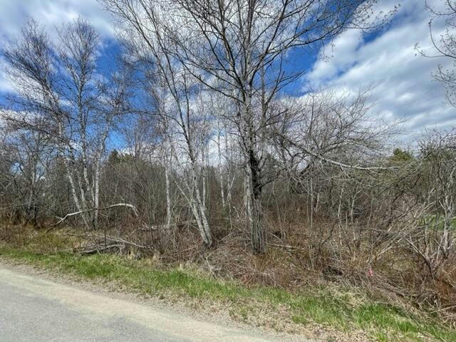 LOT F MOUNTAIN VIEW DRIVE, BAILEYVILLE, ME 04694, photo 1 of 17