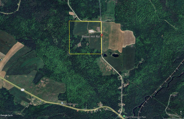 176 REBEL HILL RD, MERRILL, ME 04780 - Image 1