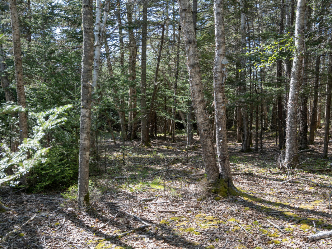 00 SOPHIE'S WAY LOT 4, TREMONT, ME 04653, photo 1 of 17