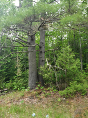 LOT 6 ROUTE 43, HUDSON, ME 04449, photo 4 of 7
