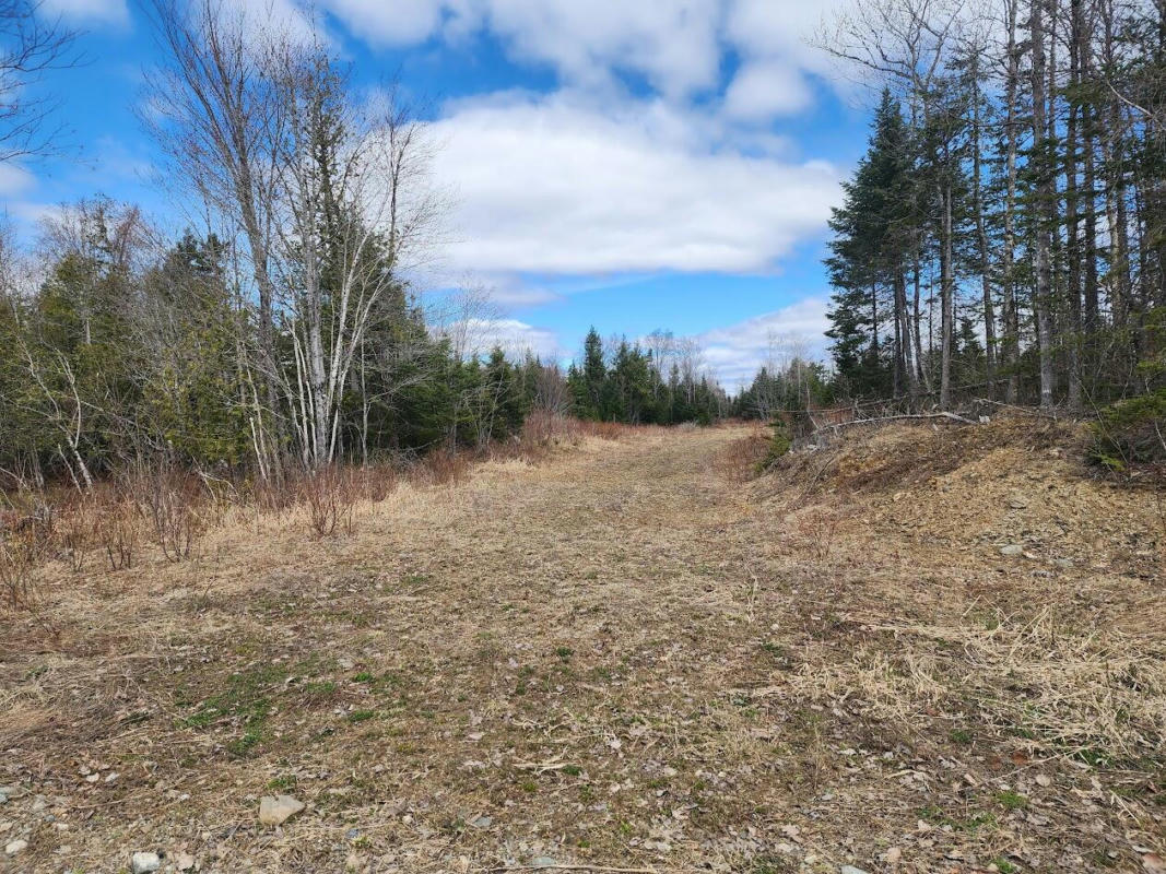 LOT C COW TEAM ROAD, CRYSTAL, ME 04747, photo 1 of 4