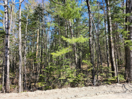 LOT #36 MORRILL POND ROAD, CANAAN, ME 04924, photo 4 of 6
