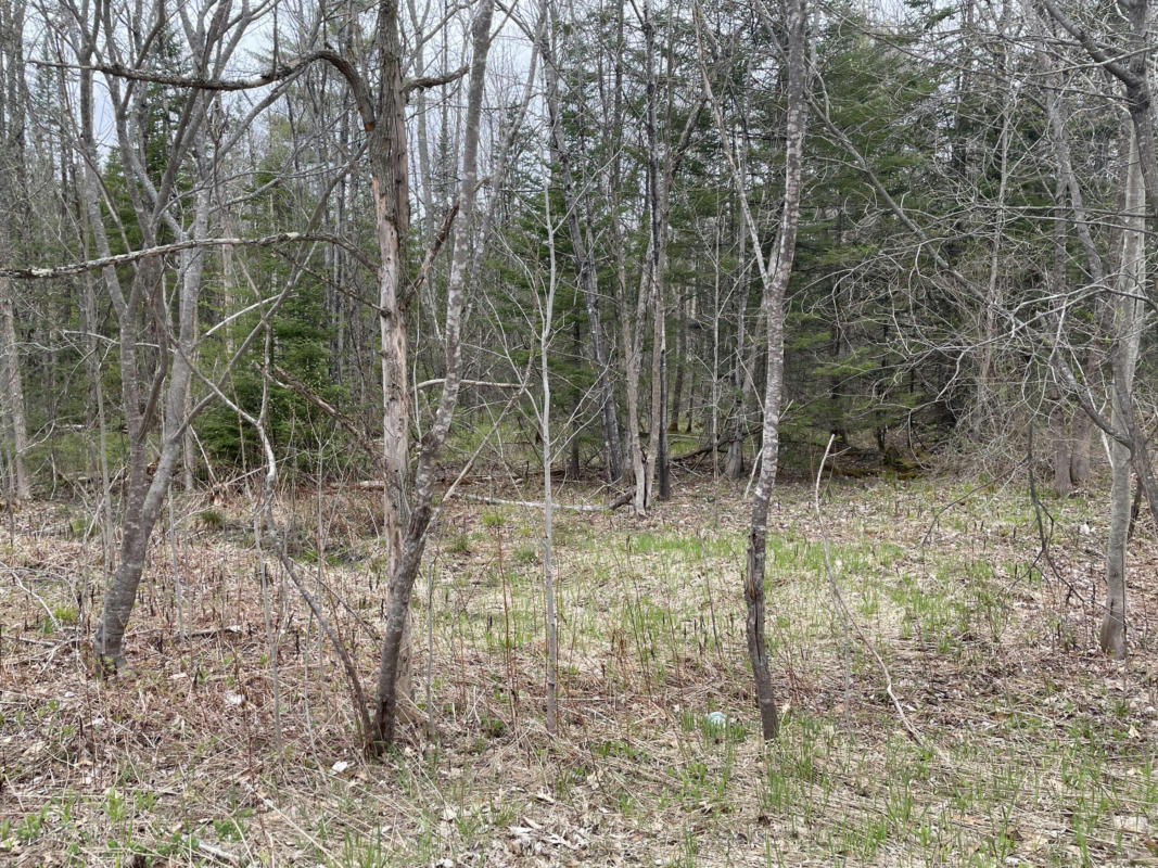 MAP9LOT9B1 HEBRON ROAD, OXFORD, ME 04270, photo 1 of 5