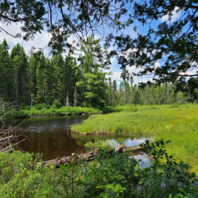 0 OFF LOOP ROAD, KING & BARTLETT TWP, ME 04961 - Image 1