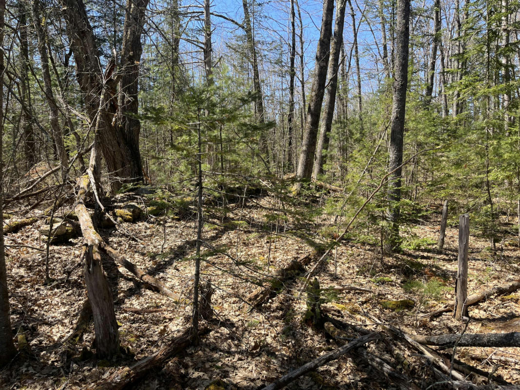 MAP 6 LOT 3B WEBSTER ROAD, SWANVILLE, ME 04915, photo 1 of 3