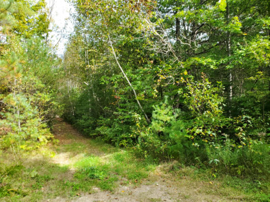 LOT 001-A OLD RAILROAD BED ROAD, MEDFORD, ME 04463, photo 2 of 6