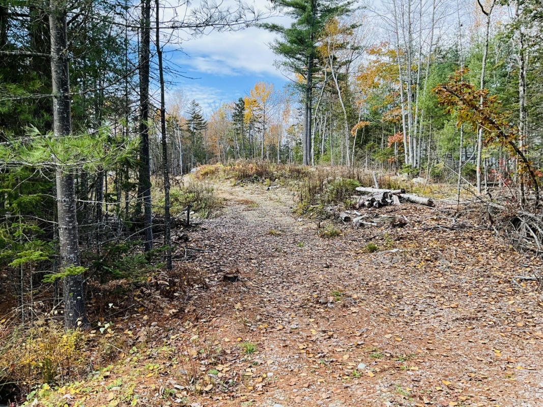 LOT 25 PINE TREE ROAD, BREWER, ME 04412, photo 1 of 2