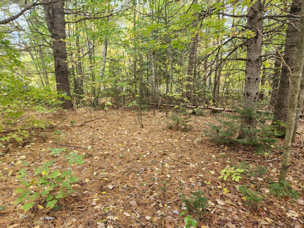 LOT #82 SEBOEIS ROAD, SEBOEIS PLT, ME 04448, photo 1 of 9