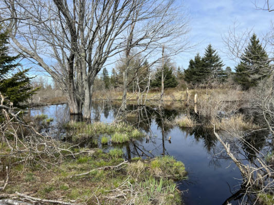 LOT #8 ATLANTIC ROAD, SWANS ISLAND, ME 04685 - Image 1