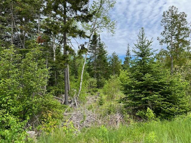 LOT 29-001 FIFTH AVENUE, PEMBROKE, ME 04666, photo 1 of 5