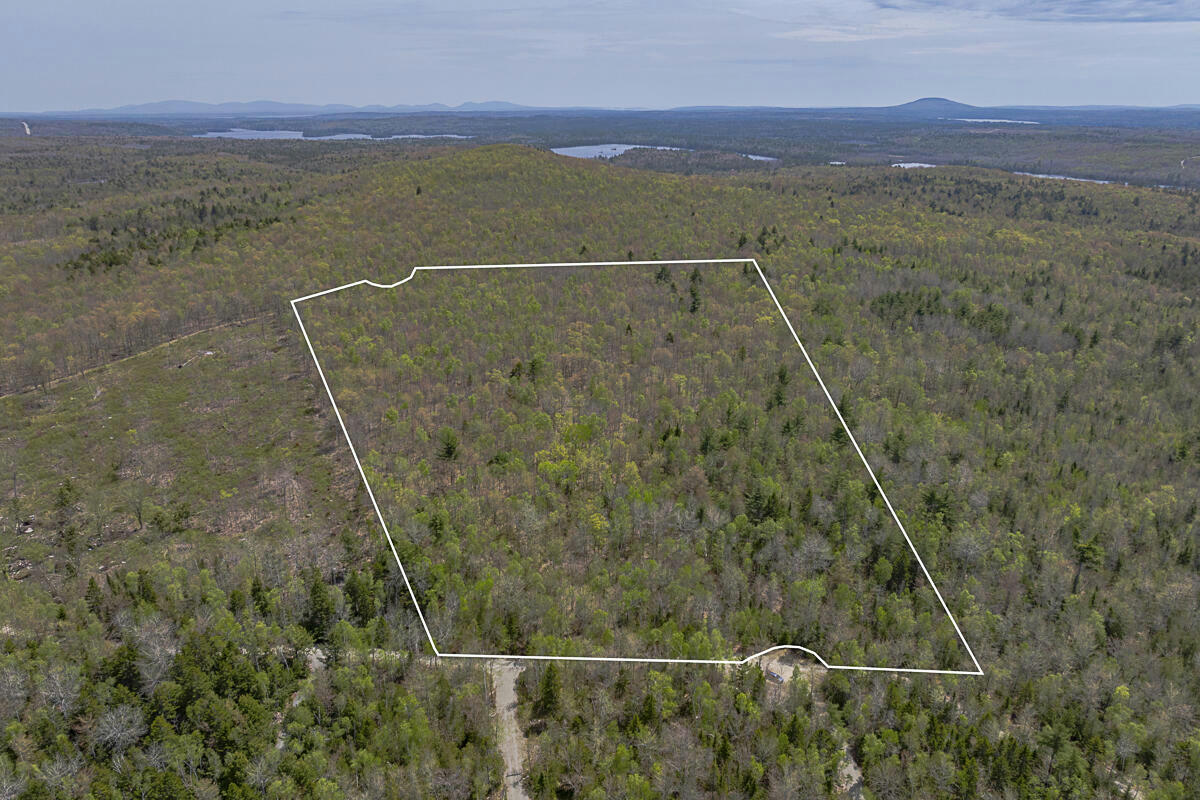 TBD WEDGE HEIGHTS, ORLAND, ME 04472, photo 1 of 21
