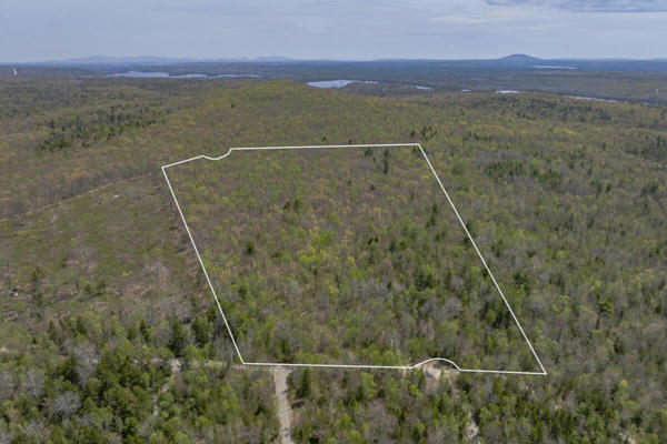 TBD WEDGE HEIGHTS, ORLAND, ME 04472 - Image 1