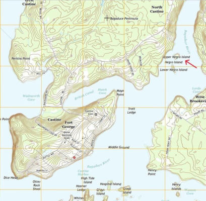 M6 L25 UPPER NEGRO ISLAND, CASTINE, ME 04421, photo 2 of 40