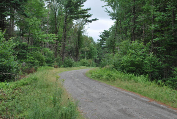 LOT 18 MOOSE RUN ROAD, WELLINGTON, ME 04942 - Image 1