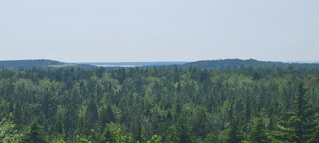 84 DUCK COVE RD, ROQUE BLUFFS, ME 04654 - Image 1
