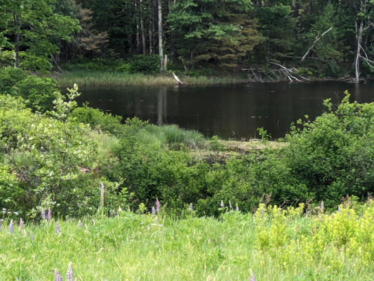 715 RIVER RD, STANDISH, ME 04084 - Image 1