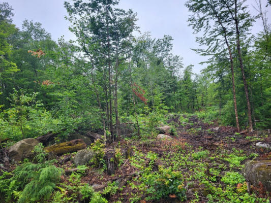 LOT 62.2 REEDS MILL ROAD, MADRID TWP, ME 04966 - Image 1