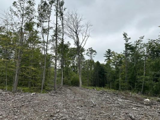 LOT 00 MAPLEWOOD ROAD, PARSONSFIELD, ME 04047 - Image 1