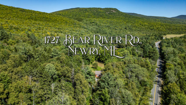 1727 BEAR RIVER RD, NEWRY, ME 04261 - Image 1