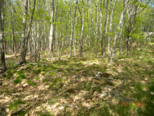 369 BARLEY NECK RD LOT C, WOOLWICH, ME 04579, photo 3 of 13