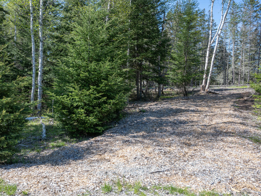 0 SOPHIE'S WAY LOT 1, TREMONT, ME 04653, photo 1 of 18
