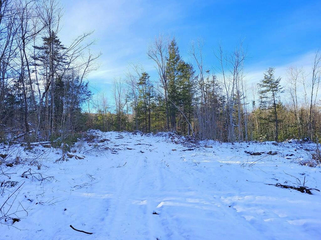 LOT 62.2 REEDS MILL ROAD, MADRID TWP, ME 04966, photo 1 of 4