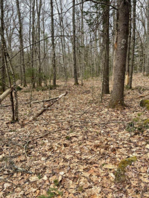 LOT 15A BACK ROAD, SHAPLEIGH, ME 04076 - Image 1