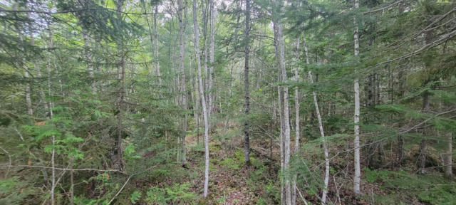 2 CALL RD # 11D, MILFORD, ME 04461, photo 3 of 27