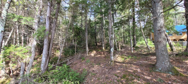 135 SILSBY RD, MARIAVILLE, ME 04605, photo 4 of 12