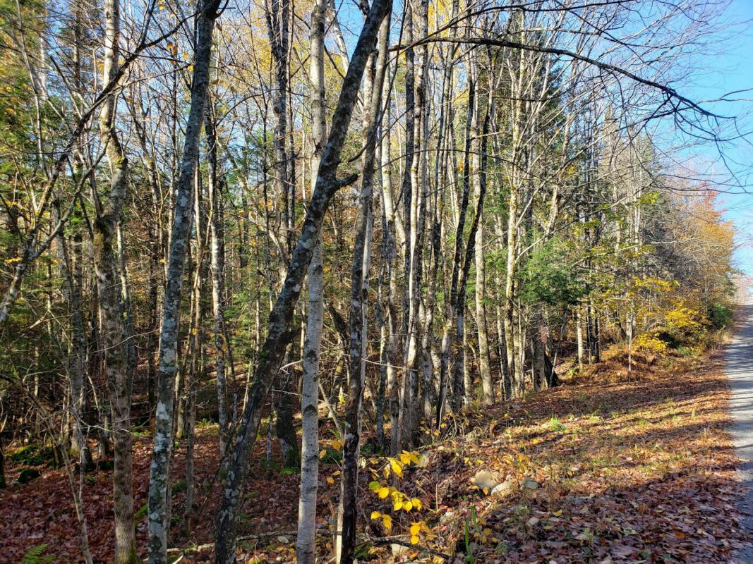 LOT 66-1 RAMSDELL RIDGE ROAD, MILO, ME 04463, photo 1