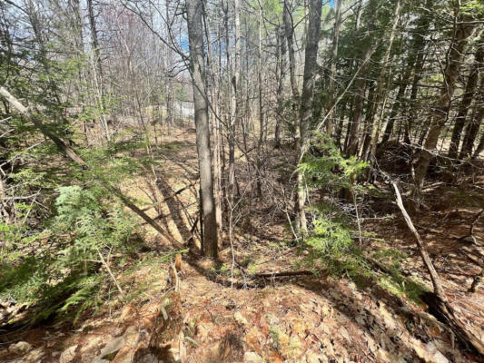 LOT B BISBEE TOWN ROAD, WATERFORD, ME 04088, photo 2 of 4