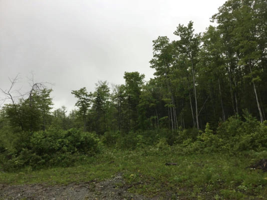 LOT 81 LAMARE BACK ROAD, NEW CANADA, ME 04743, photo 3 of 5