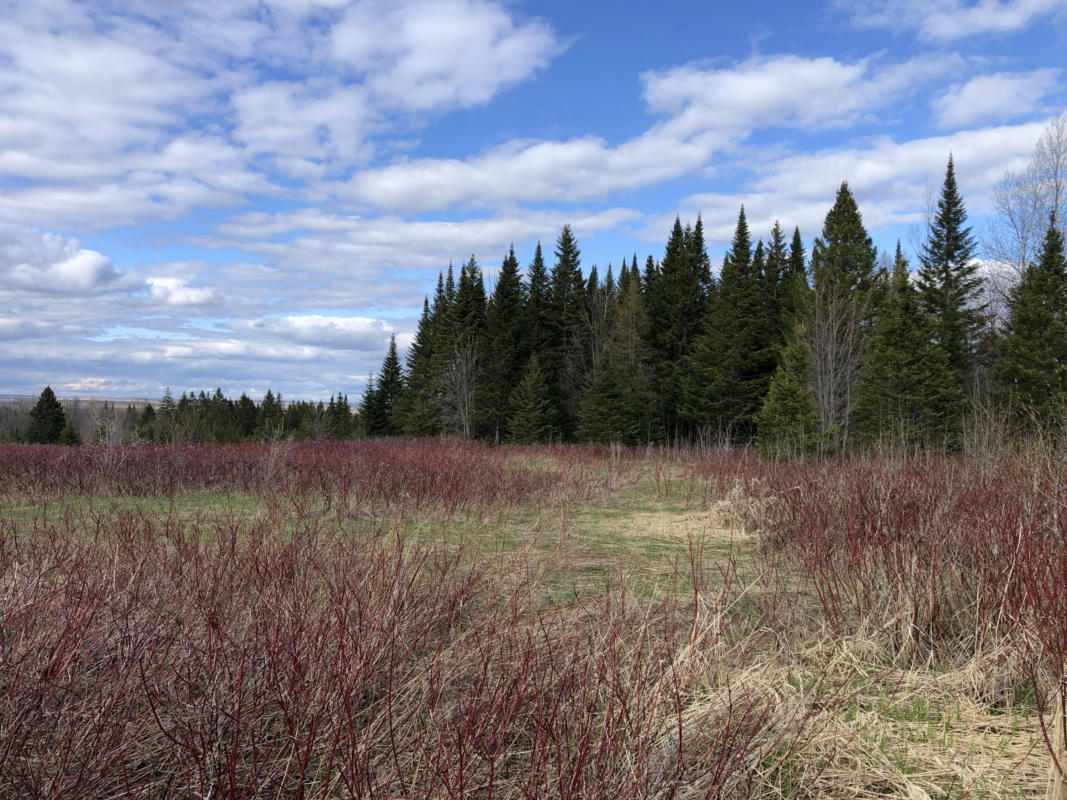 MAP3LOT22 CAMPGROUND ROAD, CARIBOU, ME 04736, photo 1 of 14