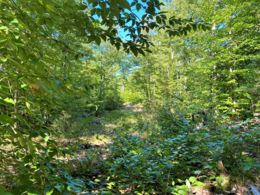 00 LIBBY, LOT #6 ROAD, NEWFIELD, ME 04056 - Image 1