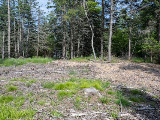 0 SOPHIE'S WAY LOT 1, TREMONT, ME 04653, photo 4 of 18