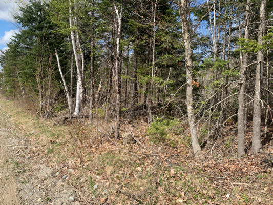 LOT L COW TEAM ROAD, CRYSTAL, ME 04747, photo 2 of 11