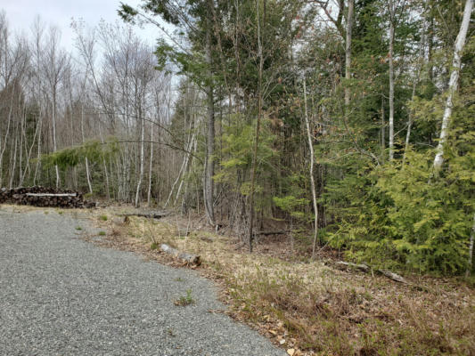 LOT D PARTRIDGE LANE, MEDFORD, ME 04463, photo 2 of 3