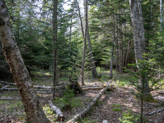 00 SOPHIE'S WAY LOT 4, TREMONT, ME 04653, photo 4 of 17