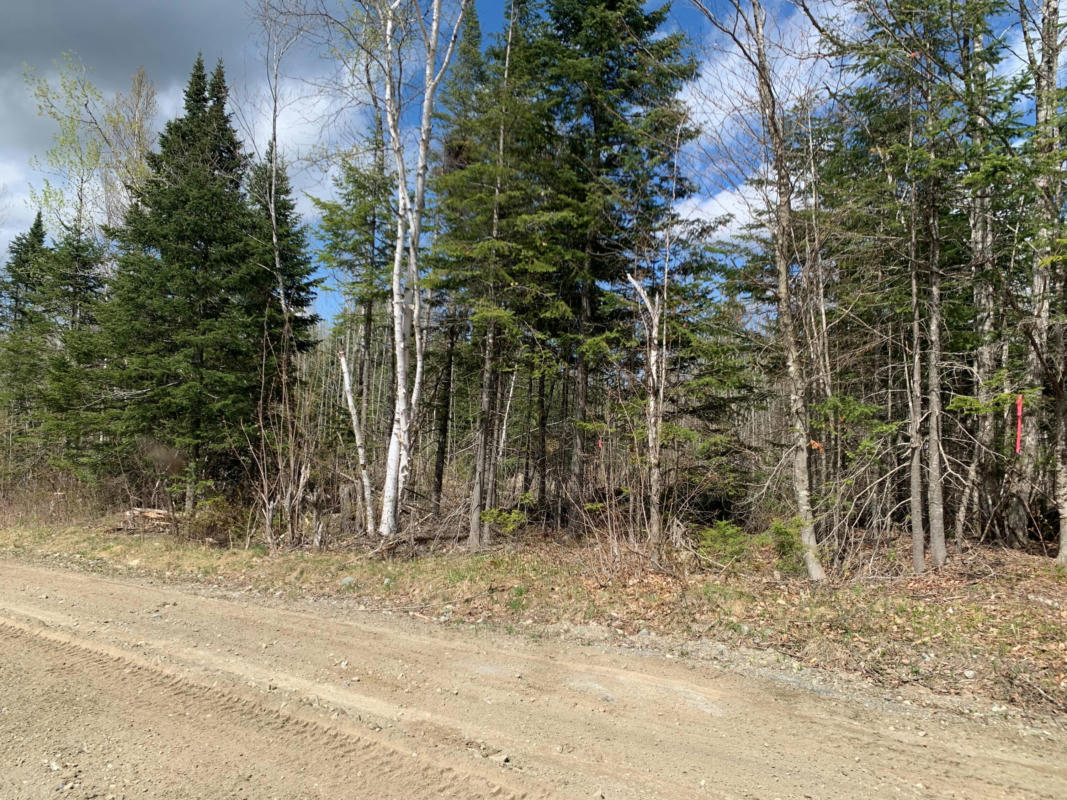 LOT L COW TEAM ROAD, CRYSTAL, ME 04747, photo 1 of 11