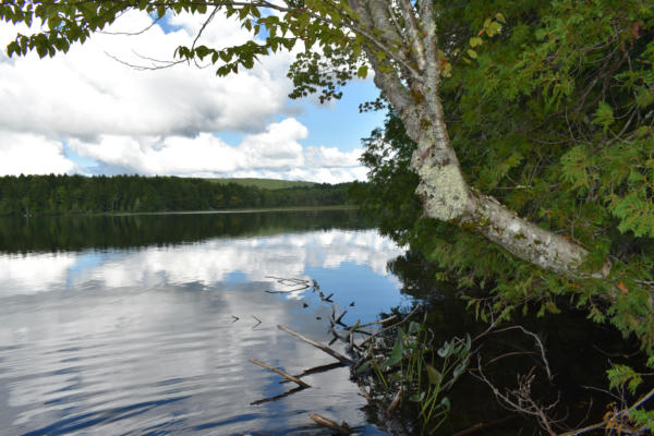 17 TOWN FARM RD, LINCOLN, ME 04457 - Image 1