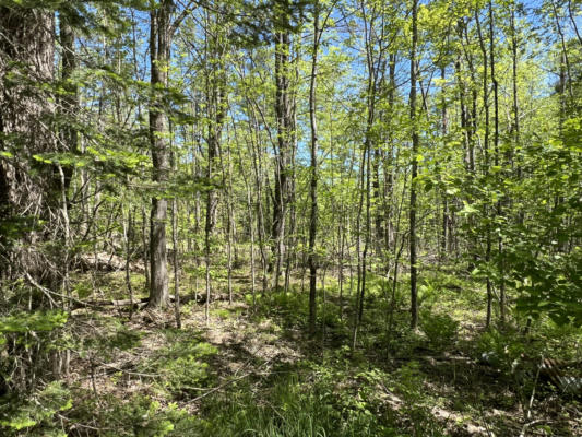 LOT A-1 CATHEDRAL PINES ROAD, DAMARISCOTTA, ME 04543 - Image 1