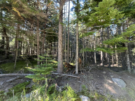 LOT #47 OLD WAGON ROAD, ROQUE BLUFFS, ME 04654 - Image 1