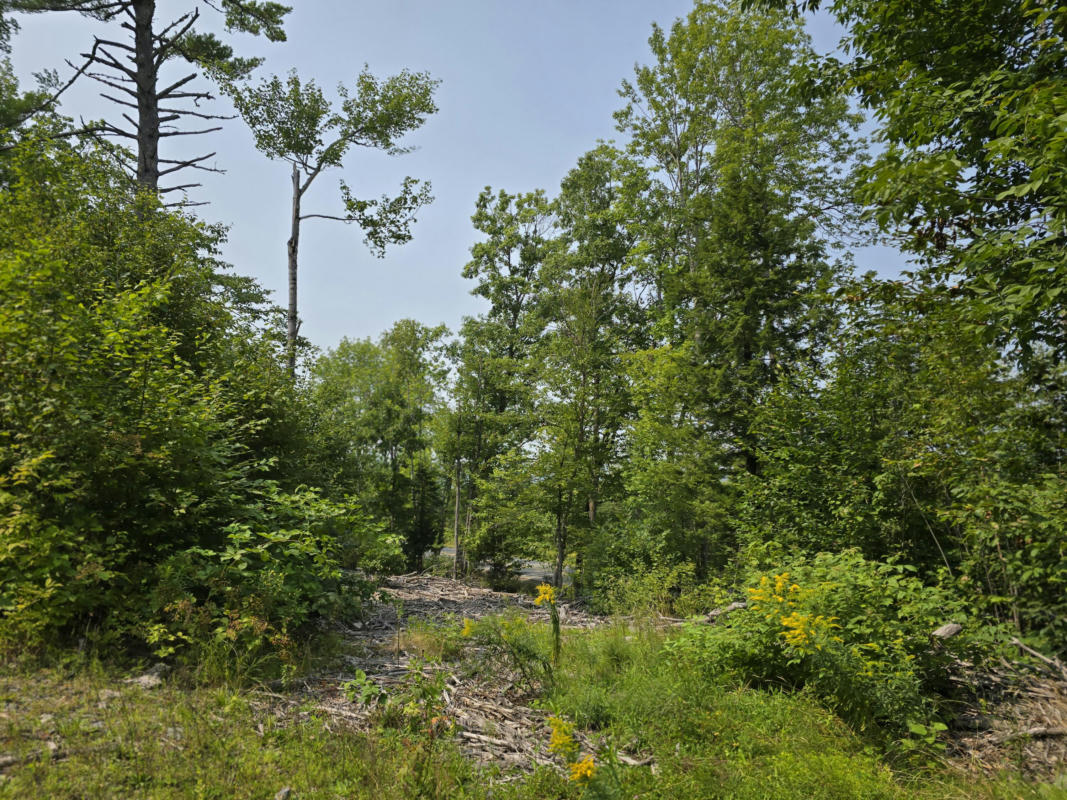 LOT7 BEAR BROOK SUBDIVISION, SEBEC, ME 04481, photo 1 of 16