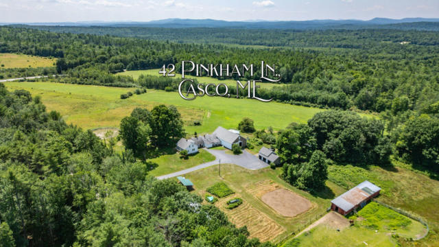 42 PINKHAM LN, CASCO, ME 04015 - Image 1