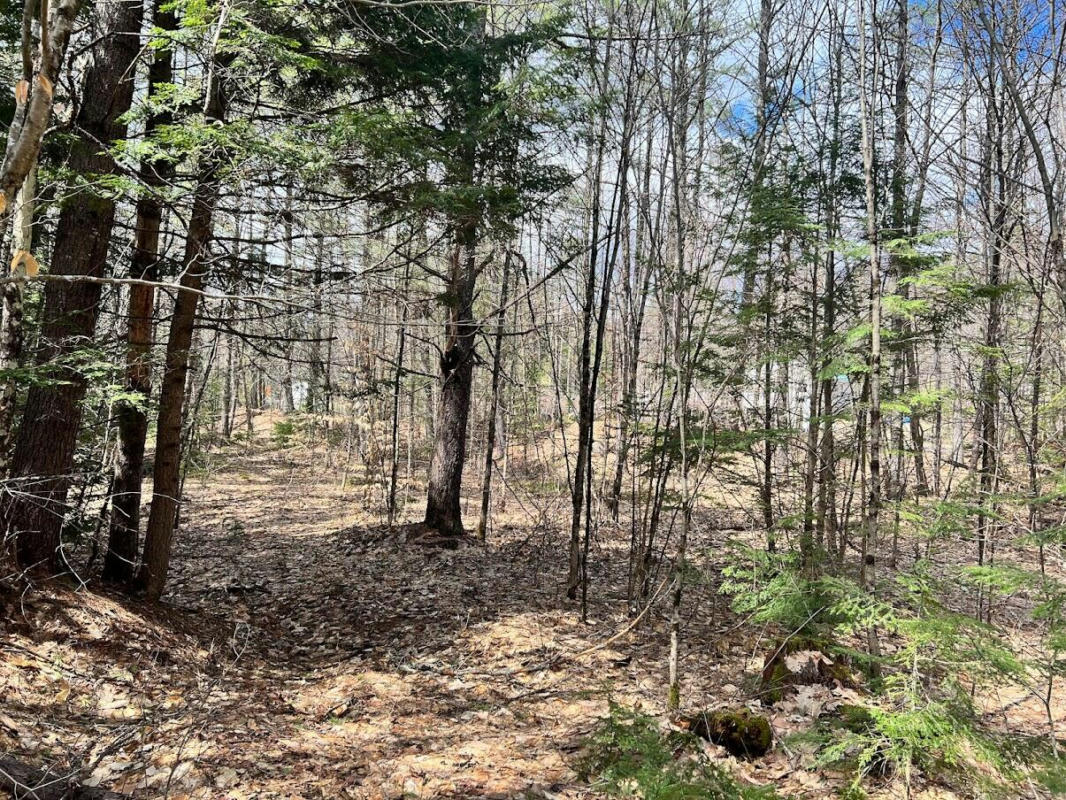 LOT B BISBEE TOWN ROAD, WATERFORD, ME 04088, photo 1 of 4